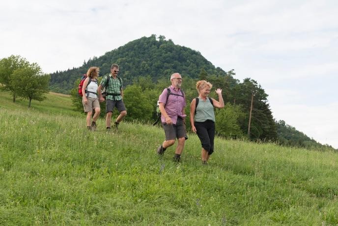 Vier Menschen wandern von einer Anhöhe runter